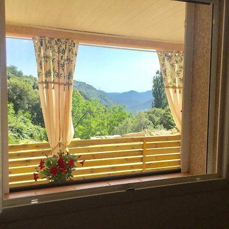 Charmant Appartement Calme Entre Mer Et Montagne Santa-Lucia-di-Tallano Extérieur photo